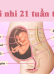 Cách bổ sung DHA cho mẹ bầu theo từng giai đoạn