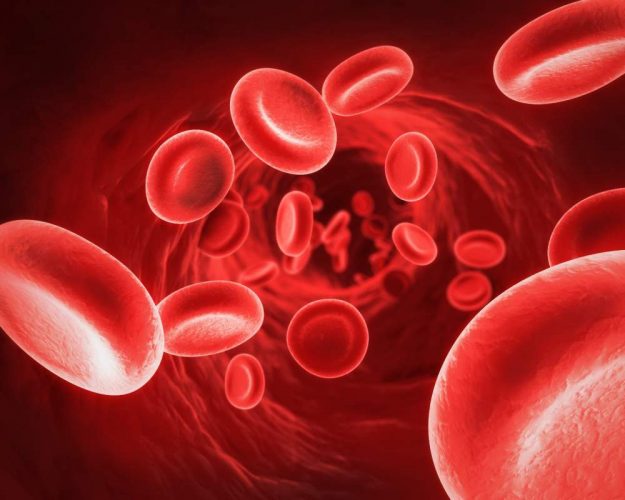 Bà bầu thiếu máu cần bổ sung gì để bổ máu nhanh nhất?