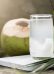 Uống nước dừa có an toàn khi cho con bú?
