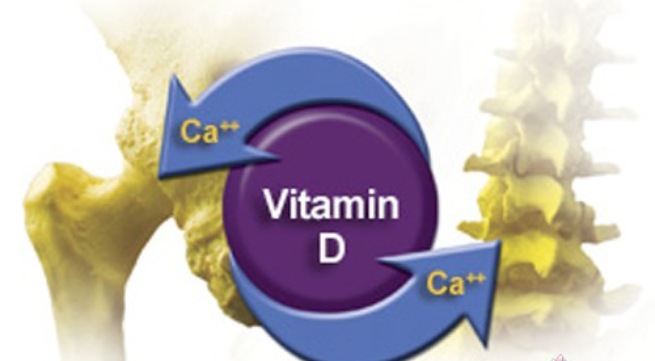 Uống sắt và vitamin D cùng lúc được không