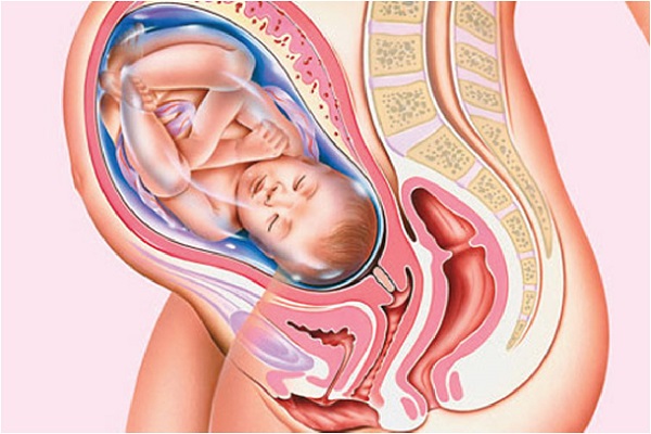 Làm gì để tử cung mở nhanh khi sinh nở?