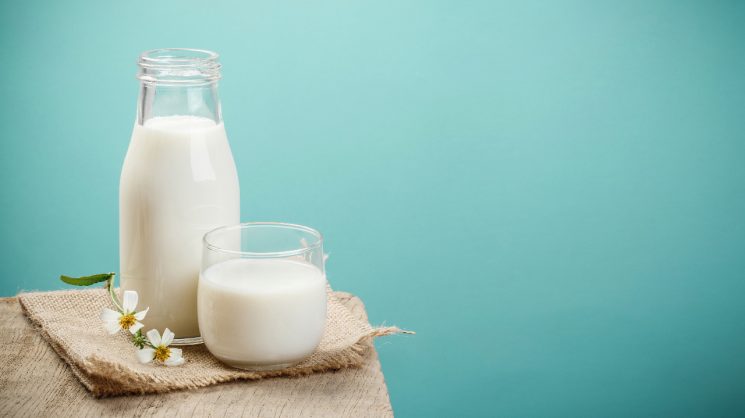 Uống sữa có tăng sức đề kháng không?