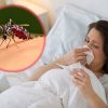 Bà bầu bị sốt xuất huyết 3 tháng đầu có ảnh hưởng đến thai nhi không?