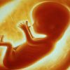 3 dấu hiệu thai nhi chậm phát triển và biện pháp cho mẹ bầu
