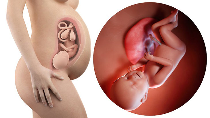 Mang thai 38 tuần đau bụng như đau bụng kinh có phải dấu hiệu sắp sinh?