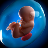 Tại sao mẹ bầu bị tiểu đường thai kỳ có nguy cơ bị dư ối cao hơn?