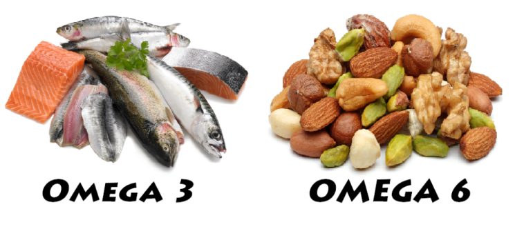 Omega 3 và omega 6 có trong thực phẩm nào?