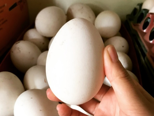 Kinh nghiệm dân gian: Mang thai con trai ăn mấy trứng ngỗng?