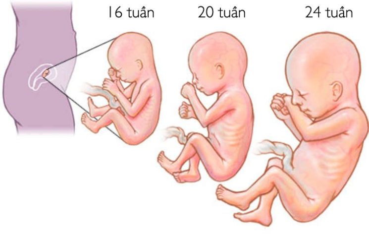 4 nguyên nhân suy dinh dưỡng bào thai mẹ nên biết để phòng ngừa 