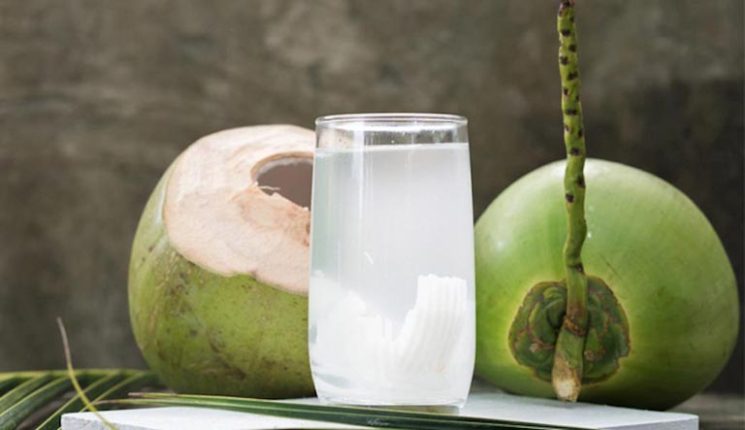 Người bệnh sỏi thận có nên uống nước dừa?