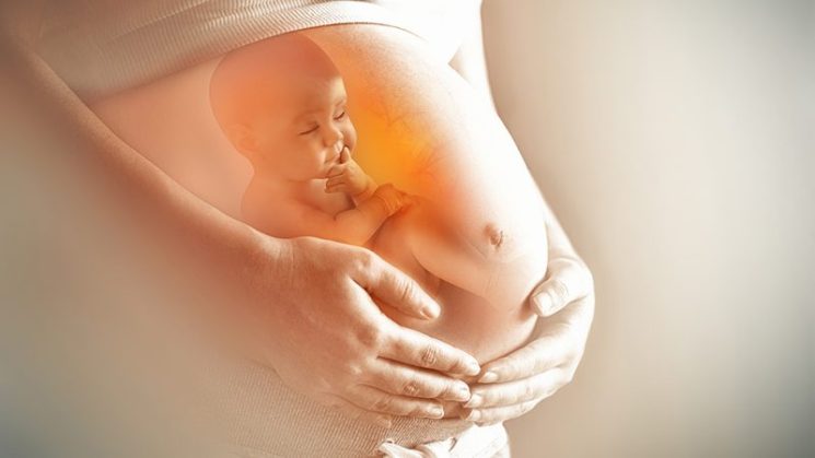 Kinh nghiệm mang thai IVF: Chăm sóc mẹ như thế nào trong 3 tháng đầu?