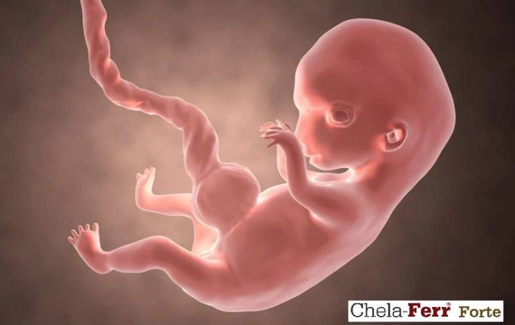 Mẹ bầu nhịn tiểu có ảnh hưởng đến thai nhi