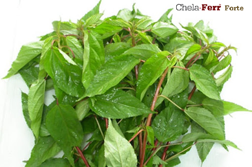 10 thực phẩm tốt cho mẹ sau sinh mổ